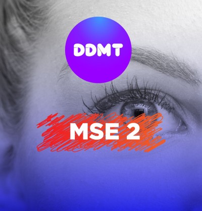 MSE 2